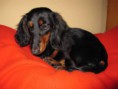 /album/a12-2-2011/a002-jpg10/