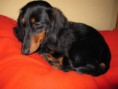 /album/a12-2-2011/a003-jpg8/