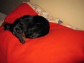 /album/a12-2-2011/a004-jpg8/