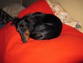 /album/a12-2-2011/a005-jpg9/