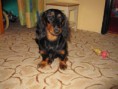 /album/a12-2-2011/a006-jpg9/
