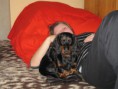 /album/a17-2-2011-je-mi-1-2-roku/a005-jpg10/