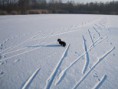 /album/a26-2-2011/a102-jpg/