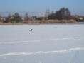 /album/a26-2-2011/a103-jpg/
