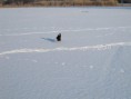 /album/a26-2-2011/a104-jpg/