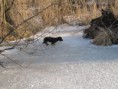 /album/a26-2-2011/a105-jpg/