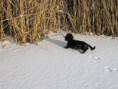 /album/a26-2-2011/a106-jpg/