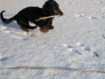 /album/a26-2-2011/a107-jpg/