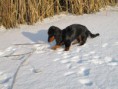 /album/a26-2-2011/a108-jpg/