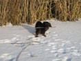 /album/a26-2-2011/a109-jpg/