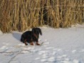 /album/a26-2-2011/a110-jpg/