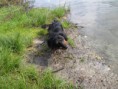 /album/uz-umim-plavat-22-5-2011/a095-jpg1/