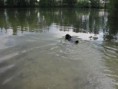/album/uz-umim-plavat-22-5-2011/a097-jpg/
