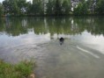 /album/uz-umim-plavat-22-5-2011/a099-jpg/