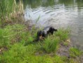 /album/uz-umim-plavat-22-5-2011/a101-jpg/