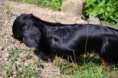 /album/fotogalerie-12-6-2011/dsc-0038-jpg/