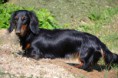 /album/fotogalerie-12-6-2011/dsc-0045-jpg/