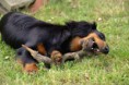/album/fotogalerie-12-6-2011/dsc-0109-jpg/
